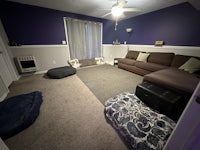 a living room with a couch and two dog beds